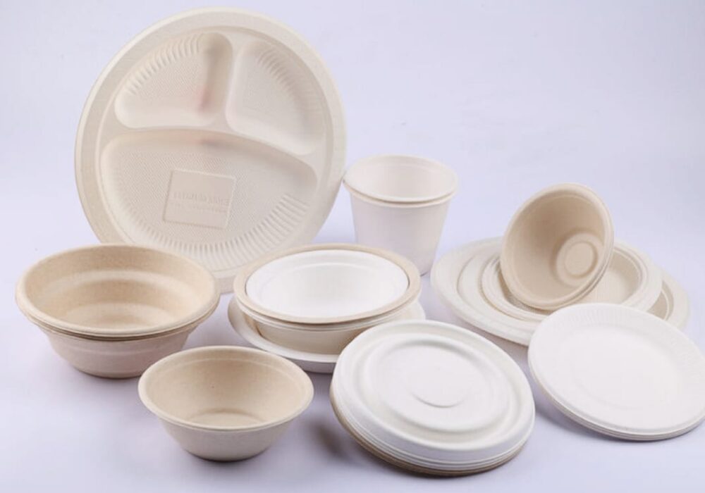 Biodegradable Tableware